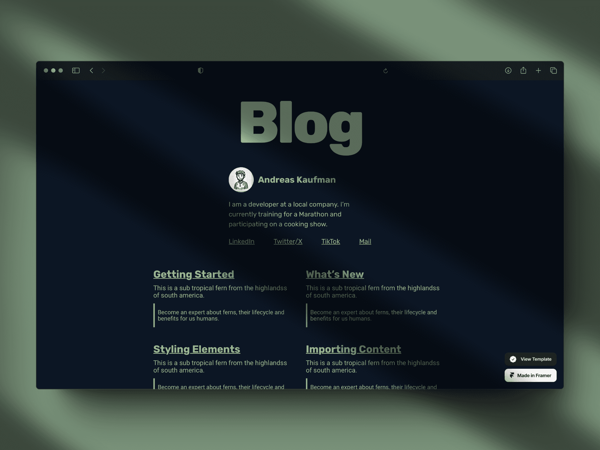 Homepage of the personal blog CMS with intuitive design