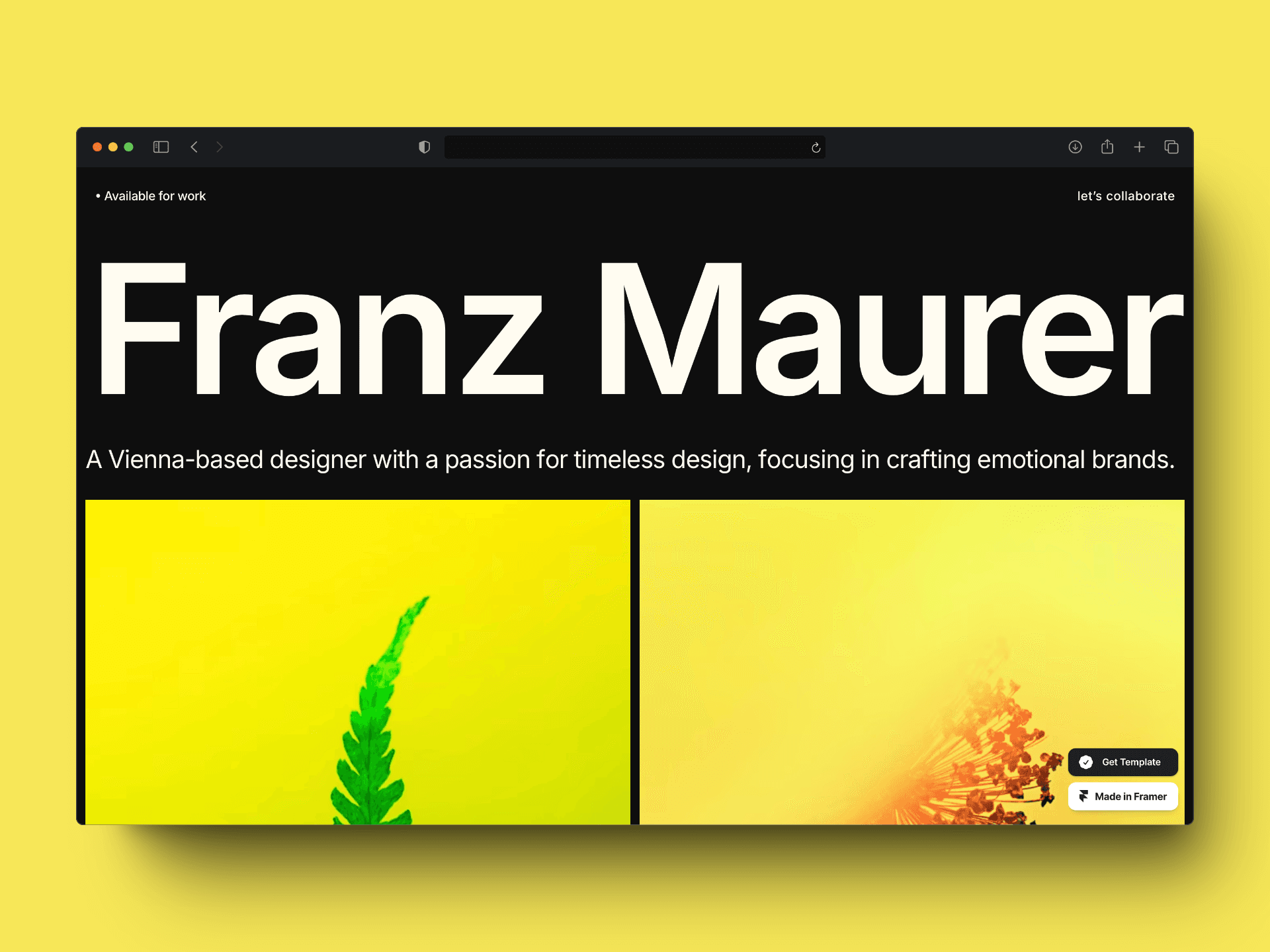 Franz Maurer's portfolio homepage with a refined and elegant design